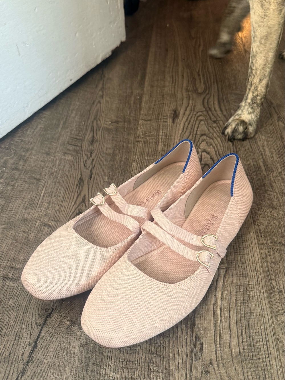 Rothy’s Blush Pink Mary Jane Flats